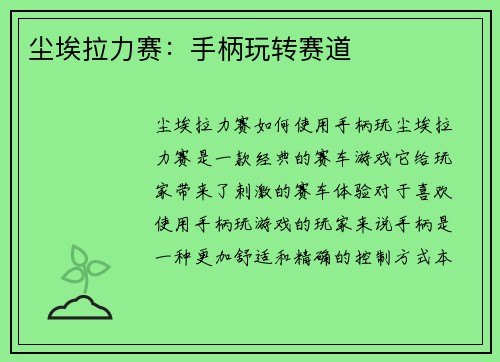尘埃拉力赛：手柄玩转赛道