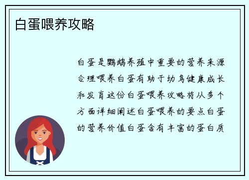 白蛋喂养攻略