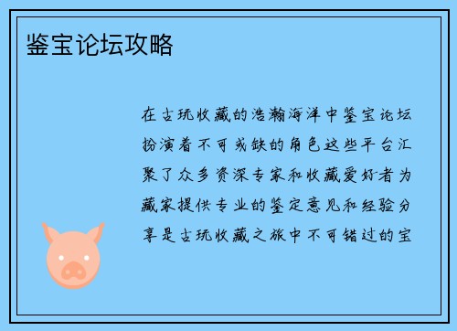 鉴宝论坛攻略